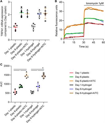 The effect of allyl isothiocyanate on chondrocyte phenotype is matrix stiffness-dependent: Possible involvement of TRPA1 activation